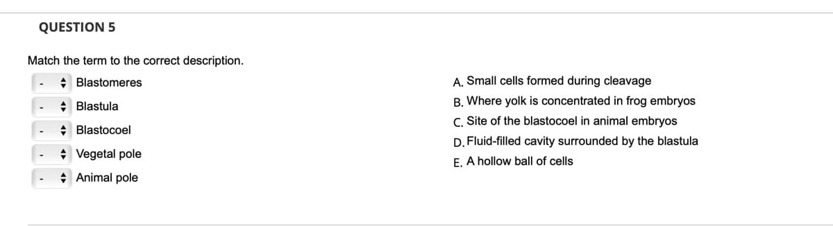 QUESTION 5
Match the term to the correct description.
A. Small cells formed during cleavage
B. Where yolk is concentrated in frog embryos
+ Blastomeres
+ Blastula
C. Site of the blastocoel in animal embryos
* Blastocoel
D. Fluid-filled cavity surrounded by the blastula
+ Vegetal pole
E. A hollow ball of cells
+ Animal pole

