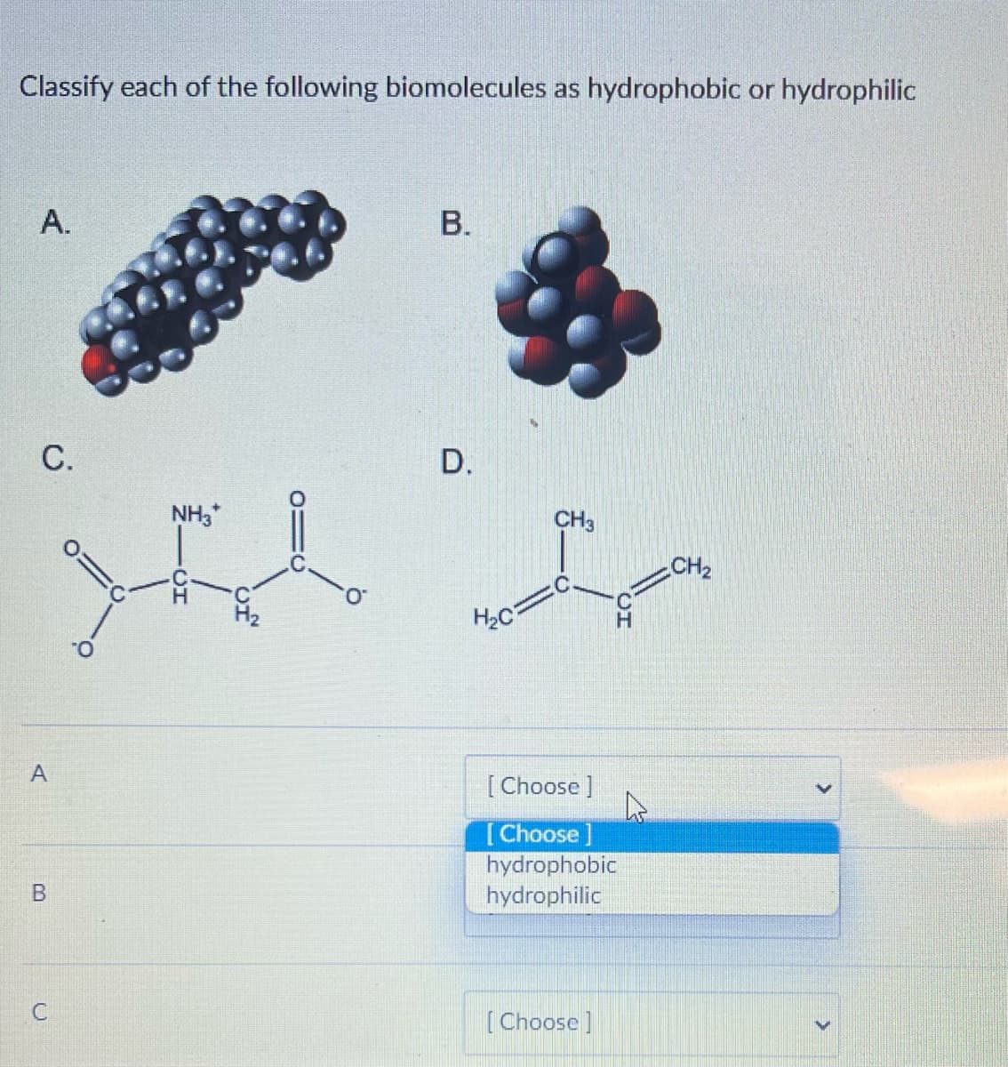 Classify each of the following biomolecules as hydrophobic or hydrophilic
A.
C.
A
B
C
NH3*
0=
HI
B.
D.
CH3
H₂C
[Choose ]
[Choose]
hydrophobic
hydrophilic
[Choose]
CH₂