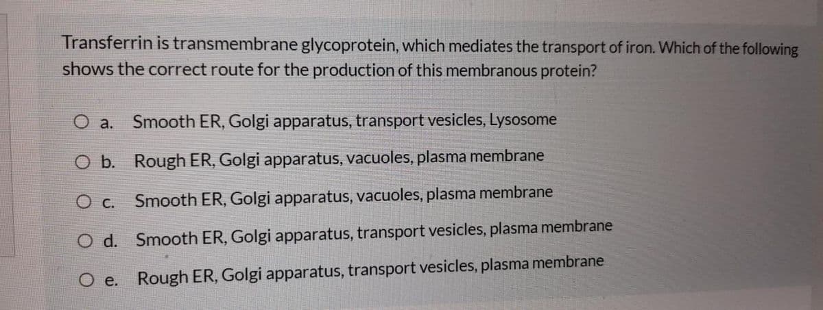 Transferrin is transmembrane glycoprotein, which mediates the transport of iron. Which of the following
shows the correct route for the production of this membranous protein?
O a.
Smooth ER, Golgi apparatus, transport vesicles, Lysosome
O b. Rough ER, Golgi apparatus, vacuoles, plasma membrane
O c. Smooth ER, Golgi apparatus, vacuoles, plasma membrane
O d. Smooth ER, Golgi apparatus, transport vesicles, plasma membrane
O e. Rough ER, Golgi apparatus, transport vesicles, plasma membrane

