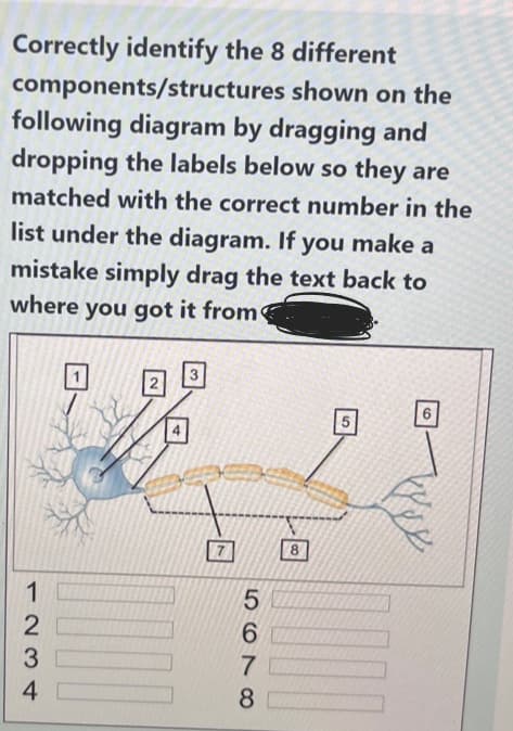 Correctly identify the 8 different
components/structures
shown on the
following diagram by dragging and
dropping the labels below so they are
matched with the correct number in the
list under the diagram. If you make a
mistake simply drag the text back to
where you got it from
1234
QUON
5678
8
5