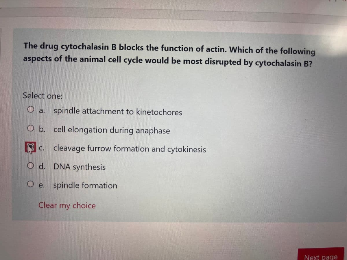 The drug cytochalasin B blocks the function of actin. Which of the following
aspects of the animal cell cycle would be most disrupted by cytochalasin B?
Select one:
Oa. spindle attachment to kinetochores
O b. cell elongation during anaphase
P C.
cleavage furrow formation and cytokinesis
Od.
DNA synthesis
O e. spindle formation
Clear my
my choice
Next page