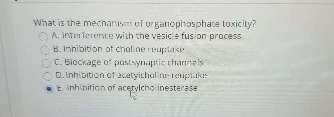 What is the mechanism of organophosphate toxicity?
A. Interference with the vesicle fusion process
B. Inhibition of choline reuptake
C. Blockage of postsynaptic channels
D. Inhibition of acetylcholine reuptake
E. Inhibition of acetylcholinesterase
