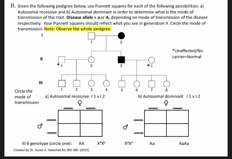 II. Given the following pedigree below, use Punnett squares for each of the following possibilities: a)
Autosomal recessive and b) Autosomal dominant in order to determine what is the mode of
transmission of this trait. Disease allele = a or A, depending on mode of transmission of the disease
respectively. Your Punnett squares should reflect what you see in generation II. Circle the mode of
transmission. Note: Observe the whole pedigree.
I
Circle the
mode of
transmission
1
III 6 genotype (circle one): AA
Created by Dr. Susan A. Holechek for BIO 340 (2023)
2
1
2
3
4
a) Autosomal recessive 11 x 12
9
XªXa
2
3
5 6
Ở
хаха
*4
7
b) Autosomal dominant 11x12
8
Aa
*Unaffected/No
carrier-Normal
AaAa