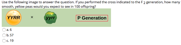 Use the following image to answer the question. If you performed the cross indicated to the F 2 generation, how many
smooth, yellow peas would you expect to see in 100 offspring?
YYRR
yyrr
P Generation
а. 6
b. 57
Ос. 19
