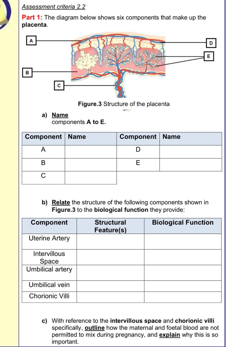 Assessment criteria 2.2
Part 1: The diagram below shows six components that make up the
placenta.
A
B
с
a) Name
components A to E.
Component Name
A
B
C
Component
Figure.3 Structure of the placenta
Uterine Artery
Intervillous
Space
Umbilical artery
b) Relate the structure of the following components shown in
Figure.3 to the biological function they provide:
Biological Function
Umbilical vein
Chorionic Villi
Component Name
D
E
D
Structural
Feature(s)
E
c) With reference to the intervillous space and chorionic villi
specifically, outline how the maternal and foetal blood are not
permitted to mix during pregnancy, and explain why this is so
important.