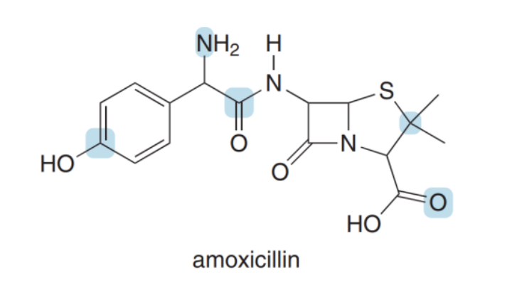 NH2 H
N.
S
НО
НО
amoxicillin
