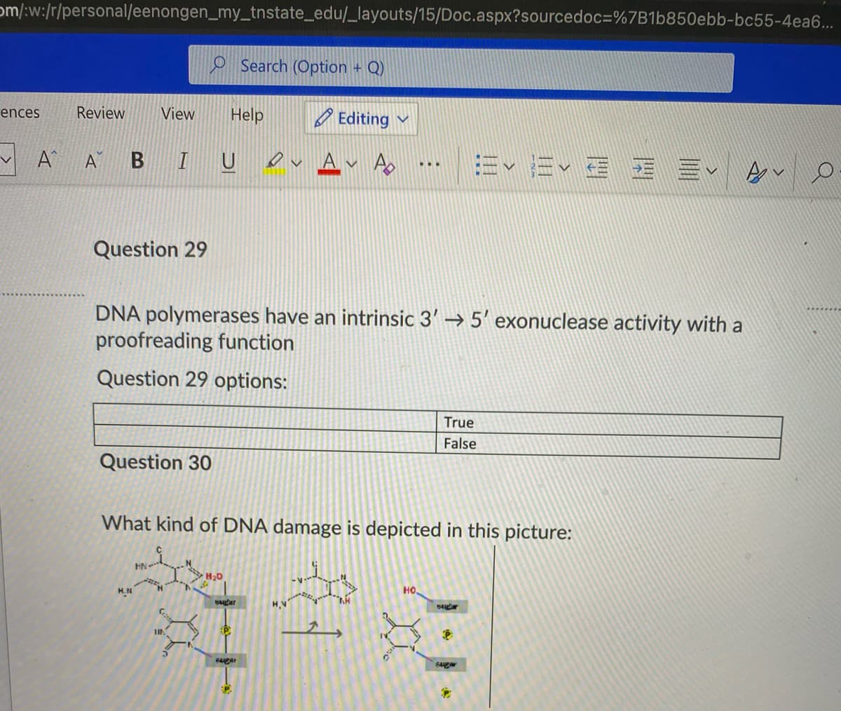 om/:w:/r/personal/eenongen_my_tnstate_edu/_layouts/15/Doc.aspx?sourcedoc=%7B1b850ebb-bc55-4ea6...
O Search (Option + Q)
ences
Review
View
Help
O Editing
A
IU O
Ev Ev E E EV
A B
Question 29
DNA polymerases have an intrinsic 3' → 5' exonuclease activity with a
proofreading function
Question 29 options:
True
False
Question 30
What kind of DNA damage is depicted in this picture:
HN-
H20
H.N
HO,
P:
:P.
