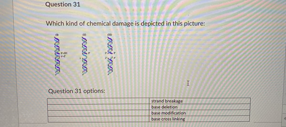 Question 31
Which kind of chemical damage is depicted in this picture:
(i)
2-0H
5-r
Question 31 options:
strand breakage
base deletion
base modification
base cross linking
4
