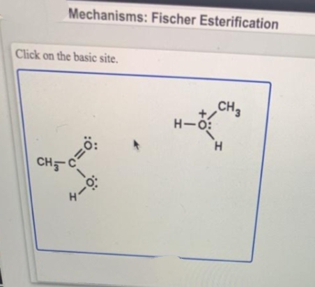 Mechanisms: Fischer Esterification
Click on the basic site.
„CH,
H-O:
H.
CH비
