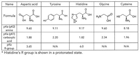 Name
Formula
pka (pK2)
amine
pka (pK1)
carboxylic
acid
Aspartic acid
OH NH₂
9.60
1.88
OH
HO
Tyrosine
9.11
2.20
NH₂
OH
Histidine
NH₂
9.17
1.82
pka
3.65
N/A
6.0
R-group
Histidine's R group is shown in a protonated state.
OH
Glycine
H₂N
OH
9.60
2.34
N/A
HS
Cysteine
NH₂
8.18
1.96
N/A
OH