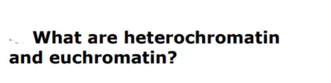 What are heterochromatin
and euchromatin?

