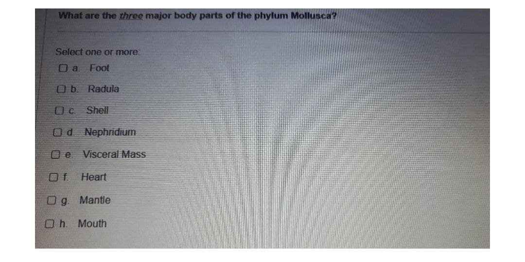 What are the three major body parts of the phylum Mollusca?
Select one or more:
Da Foot
Ob. Radula
Oc Shell
Od Nephridium
De
Visceral Mass
Heart
g. Mantle
Oh. Mouth