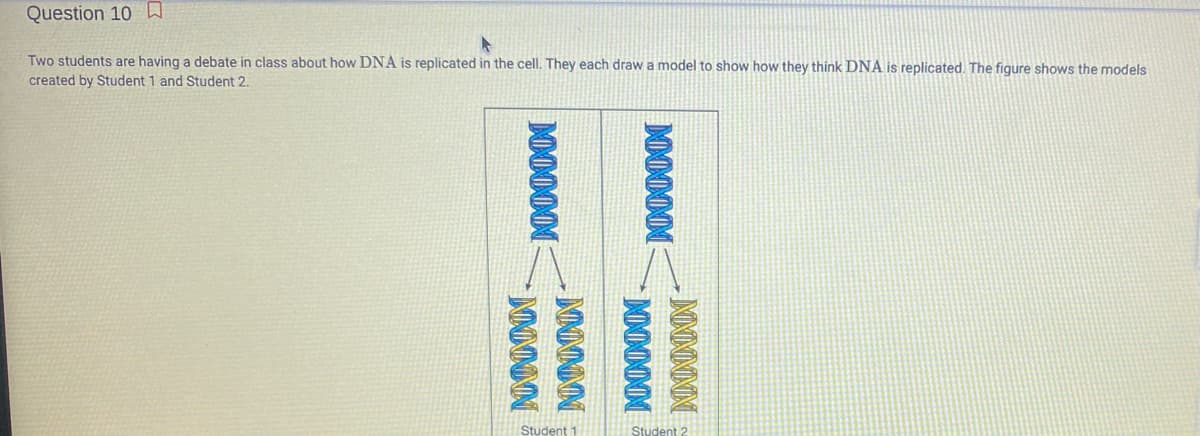 Question 10 D
Two students are having a debate in class about how DNA is replicated in the cell. They each draw a model to show how they think DNA is replicated. The figure shows the models
created by Student 1 and Student 2.
Student 1
Student2

