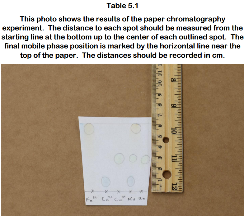 This photo shows the results of the paper chromatography
3
starting line at the bottom up to the center of each outlined spot. The
final mobile phase position is marked by the horizontal line near the
top of the paper. The distances should be recorded in cm.
