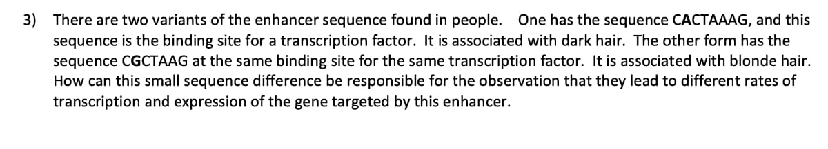 3) There are two variants of the enhancer sequence found in people. One has the sequence CACTAAAG, and this
sequence is the binding site for a transcription factor. It is associated with dark hair. The other form has the
sequence CGCTAAG at the same binding site for the same transcription factor. It is associated with blonde hair.
How can this small sequence difference be responsible for the observation that they lead to different rates of
transcription and expression of the gene targeted by this enhancer.
