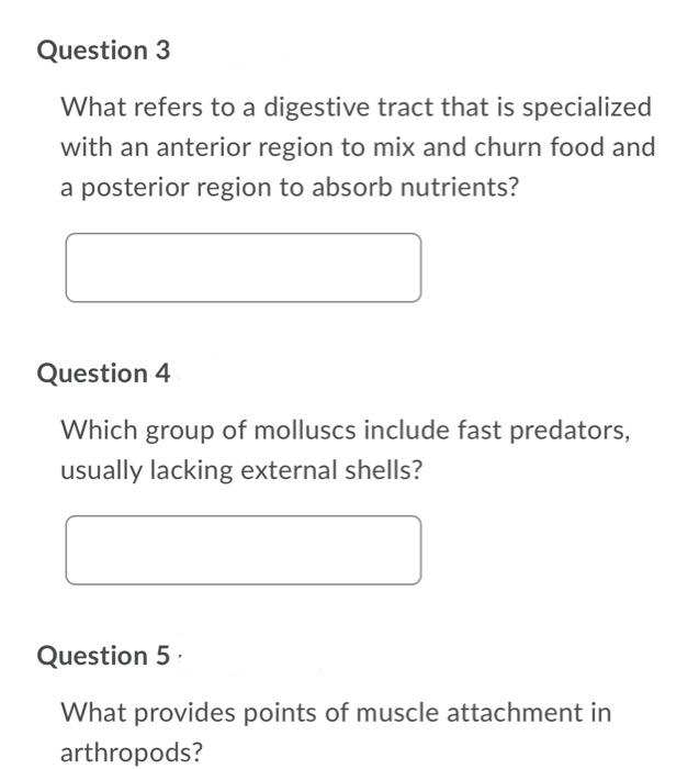 Question 3
What refers to a digestive tract that is specialized
with an anterior region to mix and churn food and
a posterior region to absorb nutrients?
Question 4
Which group of molluscs include fast predators,
usually lacking external shells?
Question 5
What provides points of muscle attachment in
arthropods?
