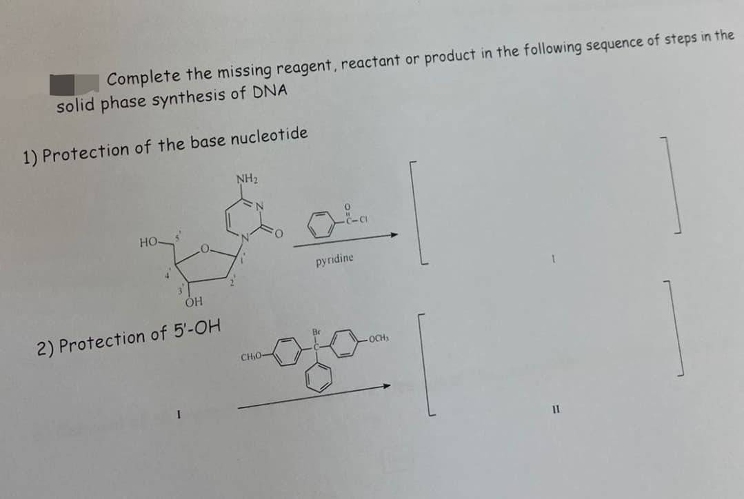 Complete the missing reagent, reactant or product in the following sequence of steps in the
solid phase synthesis of DNA
1) Protection of the base nucleotide
s
HO-
4
OH
2) Protection of 5'-OH
NH₂
CHO-
pyridine
OCH₁
11
