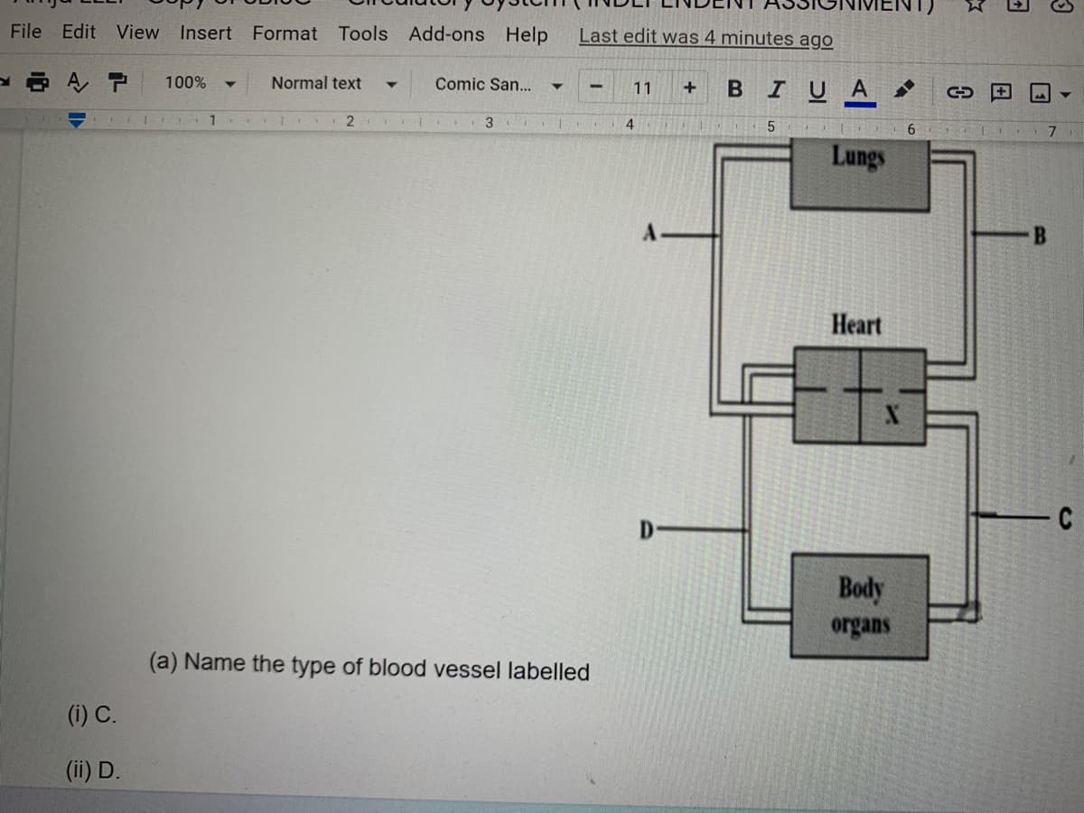 File Edit View Insert Format Tools Add-ons Help
AT 100%
Normal text ▼
Comic San... ▼
| 1
2
3
(a) Name the type of blood vessel labelled
(i) C.
(ii) D.
Last edit was 4 minutes ago
-
11 +
4
D
B IUA
5
ED
Lungs
Heart
Body
organs
6
C
1
7
B