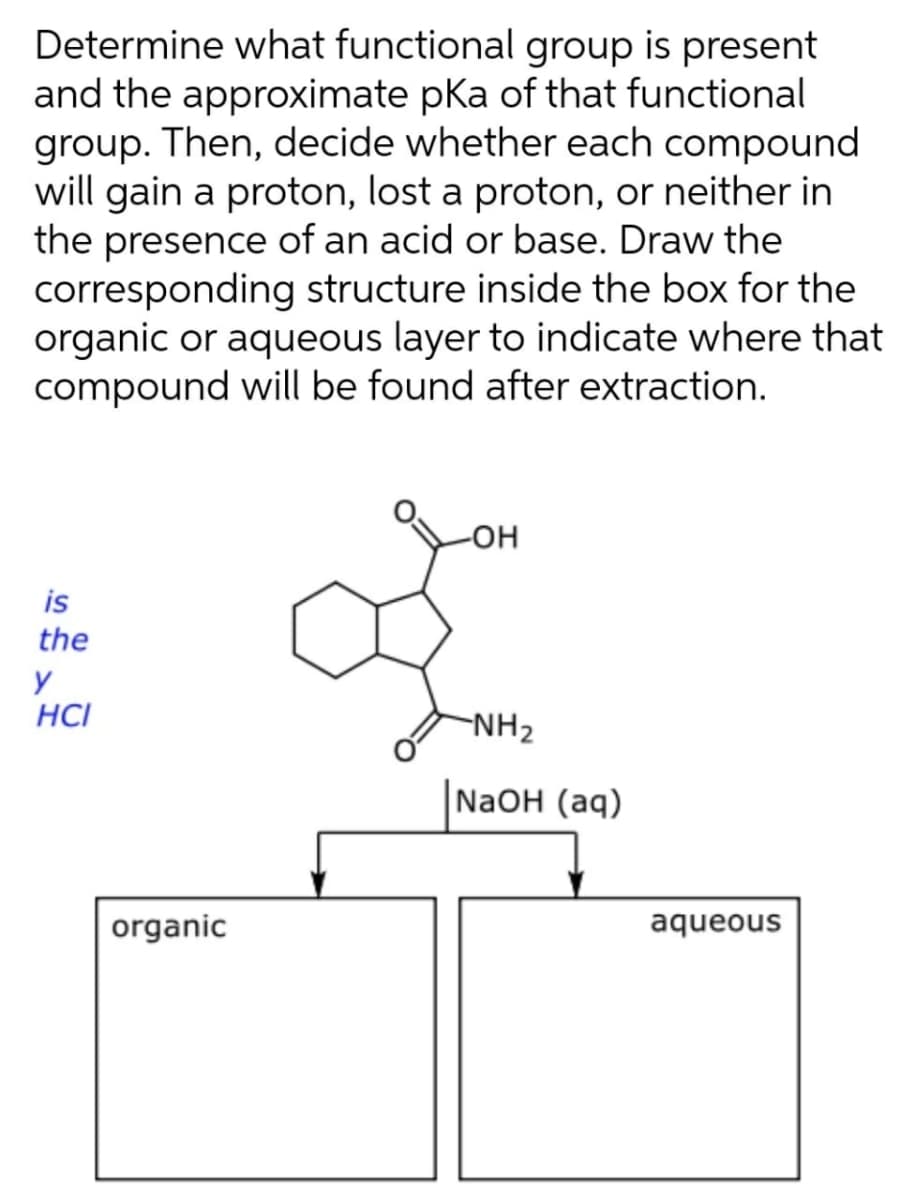 Determine what functional group is present
and the approximate pka of that functional
group. Then, decide whether each compound
will gain a proton, lost a proton, or neither in
the presence of an acid or base. Draw the
corresponding structure inside the box for the
organic or aqueous layer to indicate where that
compound will be found after extraction.
is
the
y
HCI
-NH2
NaOH (aq)
organic
aqueous
