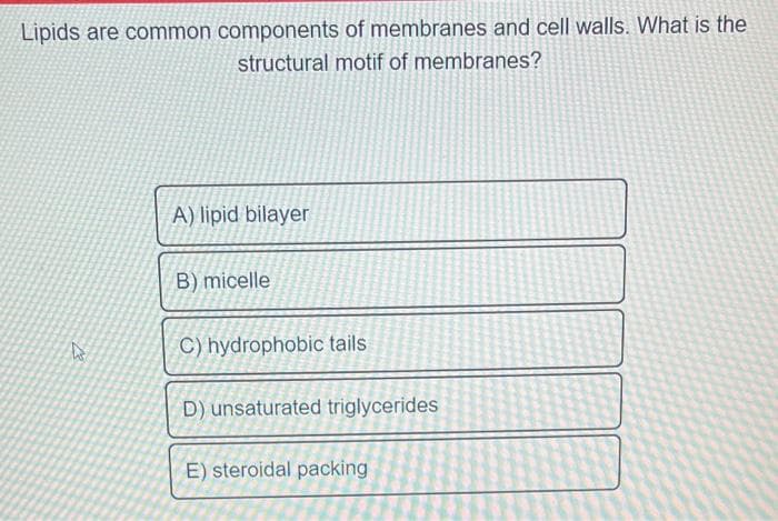 Lipids are common components of membranes and cell walls. What is the
structural motif of membranes?
13
A) lipid bilayer
B) micelle
C) hydrophobic tails
D) unsaturated triglycerides
E) steroidal packing