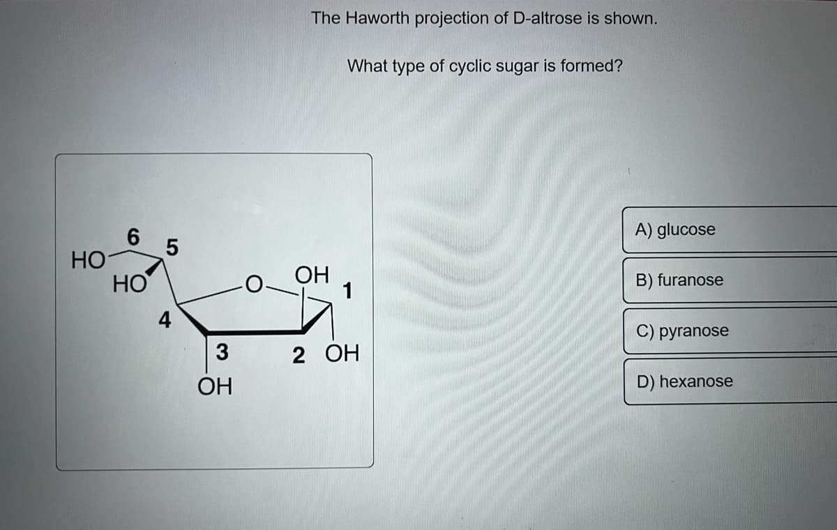 Но
6
НО
5
4
3
ОН
о
The Haworth projection of D-altrose is shown.
ОН
What type of cyclic sugar is formed?
1
2 ОН
A) glucose
B) furanose
C) pyranose
D) hexanose