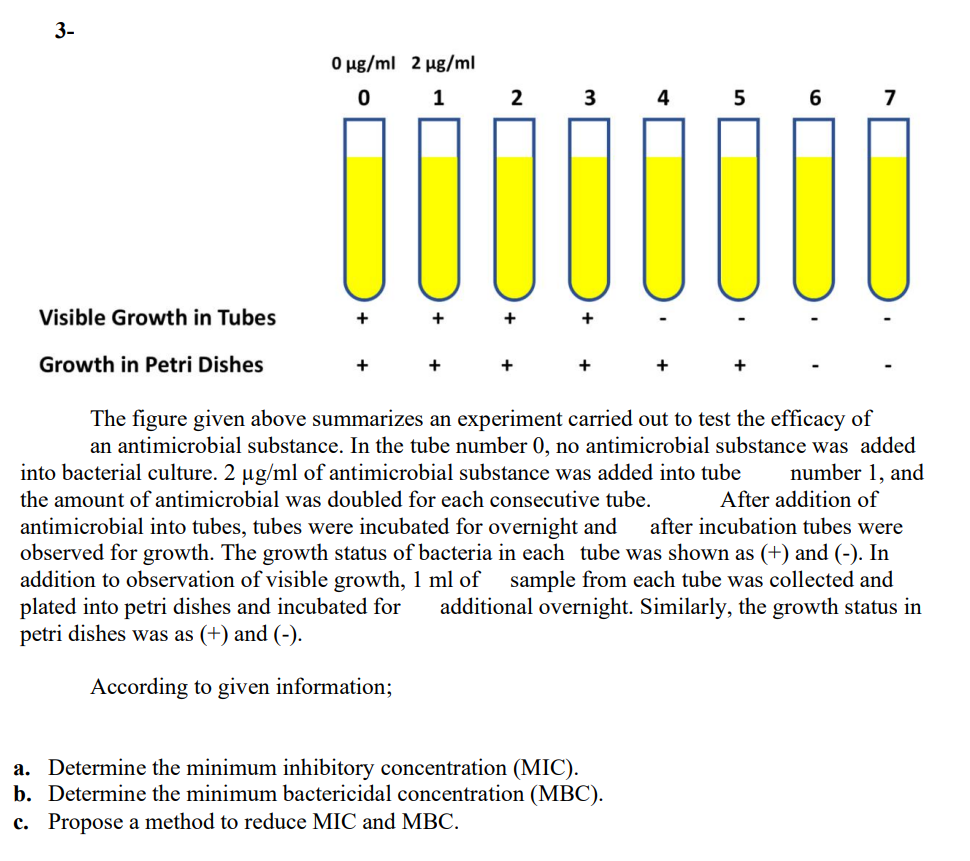 3-
Visible Growth in Tubes
Growth in Petri Dishes
0 µg/ml 2 µg/ml
0 1
3
4
ÖÖÖÖÖÖÖÖ
2
5 6 7
number 1, and
After addition of
The figure given above summarizes an experiment carried out to test the efficacy of
an antimicrobial substance. In the tube number 0, no antimicrobial substance was added
into bacterial culture. 2 µg/ml of antimicrobial substance was added into tube
the amount of antimicrobial was doubled for each consecutive tube.
antimicrobial into tubes, tubes were incubated for overnight and after incubation tubes were
observed for growth. The growth status of bacteria in each tube was shown as (+) and (-). In
addition to observation of visible growth, 1 ml of sample from each tube was collected and
plated into petri dishes and incubated for additional overnight. Similarly, the growth status in
petri dishes was as (+) and (-).
According to given information;
a. Determine the minimum inhibitory concentration (MIC).
b. Determine the minimum bactericidal concentration (MBC).
c. Propose a method to reduce MIC and MBC.