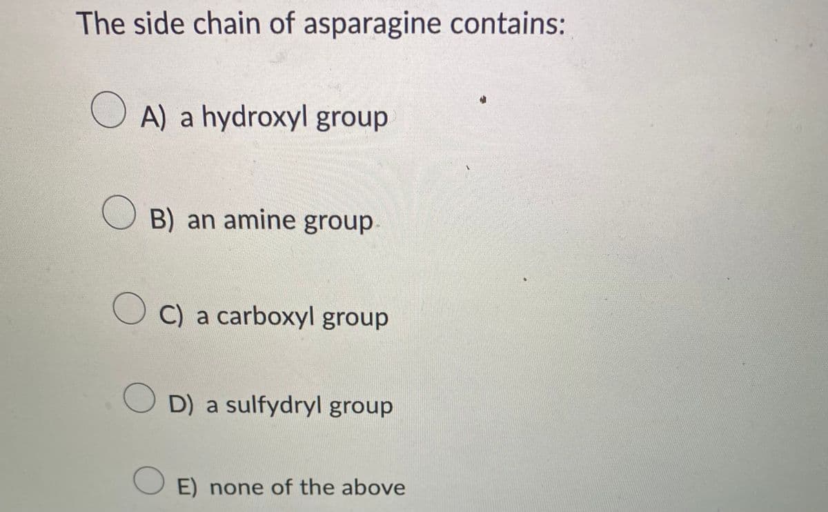 The side chain of asparagine contains:
OA) a hydroxyl group
B) an amine group
OC) a carboxyl group
OD) a sulfydryl group
OE) none of the above