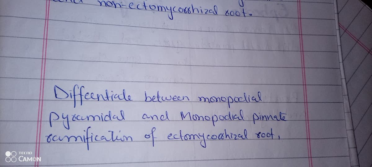 non-ect
tomycorahizal ao0t.
Diffeentiale between monopoælial.
pysumidal and Monopodal pinnate
samification of ectomycoahrzed roc .
O TECND
