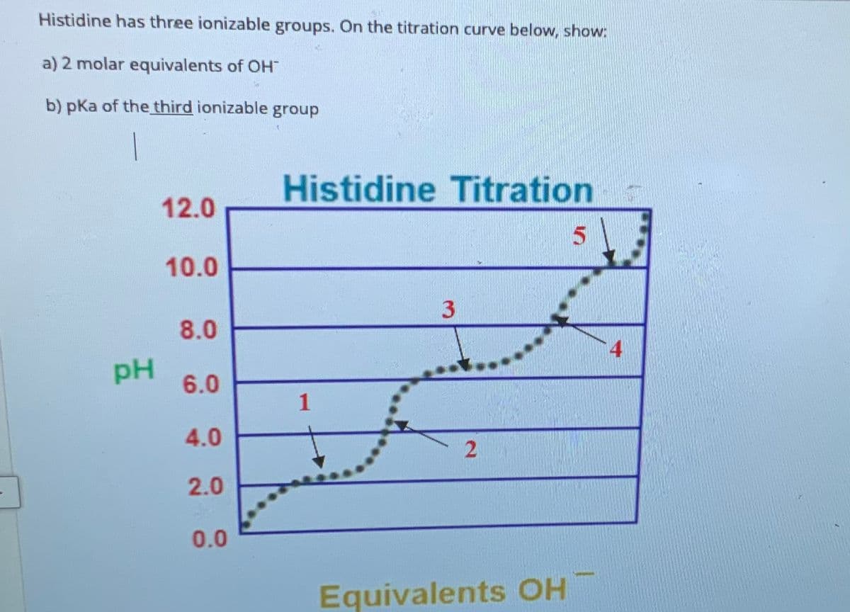 Histidine has three ionizable groups. On the titration curve below, show:
a) 2 molar equivalents of OH
b) pka of the third ionizable group
Histidine Titration
12.0
10.0
8.0
4
pH
6.0
4.0
2.0
0.0
Equivalents OH
