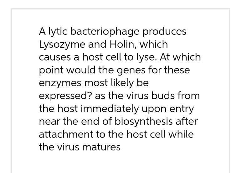 A lytic bacteriophage produces
Lysozyme and Holin, which
causes a host cell to lyse. At which
point would the genes for these
enzymes most likely be
expressed? as the virus buds from
the host immediately upon entry
near the end of biosynthesis after
attachment to the host cell while
the virus matures

