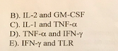 B). IL-2 and GM-CSF
C). IL-1 and TNF-a
D). TNF-α and IFN-y
E). IFN-y and TLR