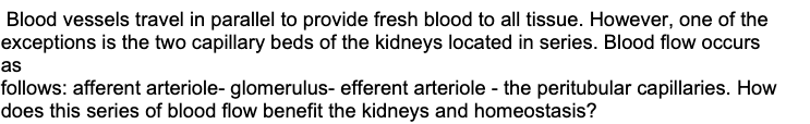 Blood vessels travel in parallel to provide fresh blood to all tissue. However, one of the
exceptions is the two capillary beds of the kidneys located in series. Blood flow occurs
as
follows: afferent arteriole- glomerulus- efferent arteriole - the peritubular capillaries. How
does this series of blood flow benefit the kidneys and homeostasis?
