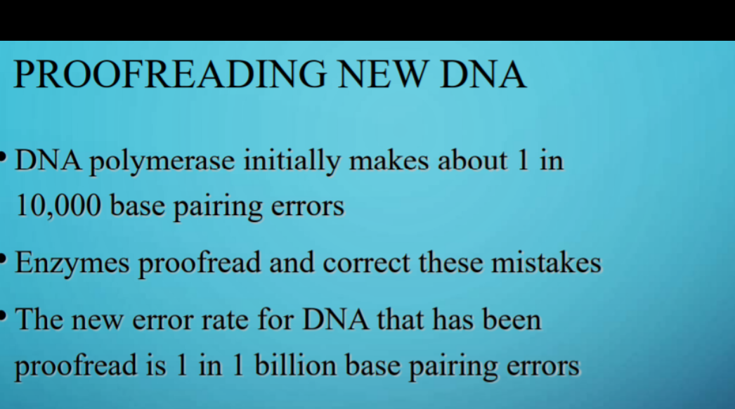 PROOFREADING NEW DNA
DNA polymerase initially makes about 1 in
10,000 base pairing errors
• Enzymes proofread and correct these mistakes
- The new error rate for DNA that has been
proofread is 1 in 1 billion base pairing errors
