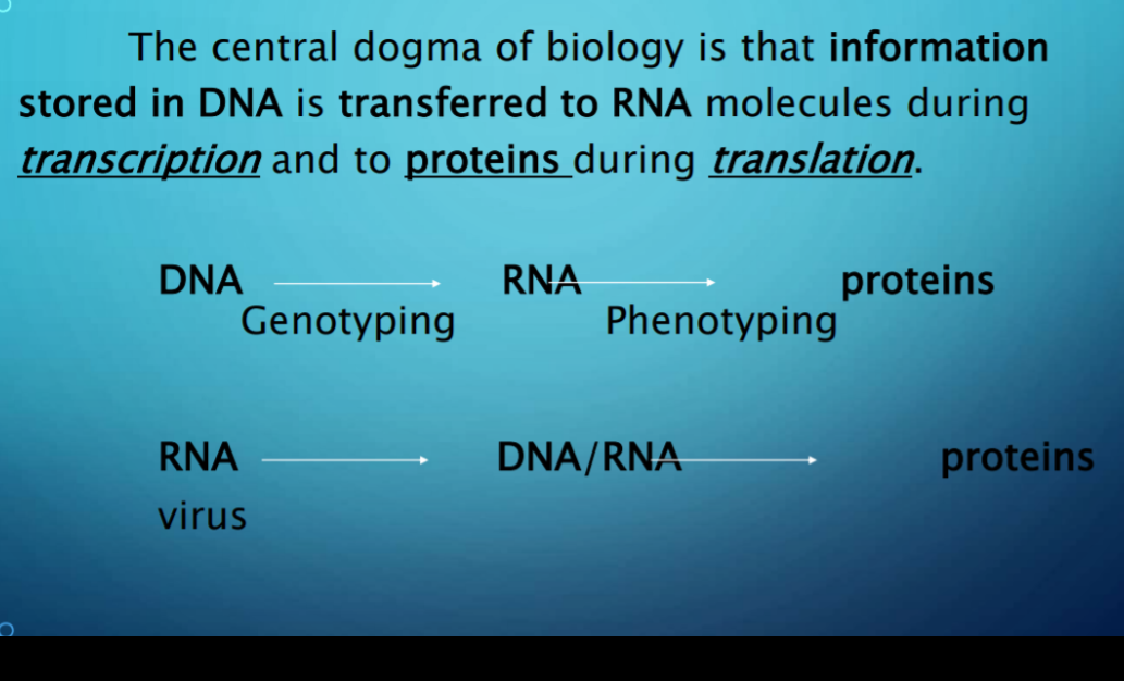 The central dogma of biology is that information
stored in DNA is transferred to RNA molecules during
transcription and to proteins during translation.
DNA
RNA
proteins
Genotyping
Phenotyping
RNA
DNA/RNA
proteins
virus
