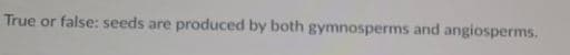 True or false: seeds are produced by both gymnosperms and angiosperms.
