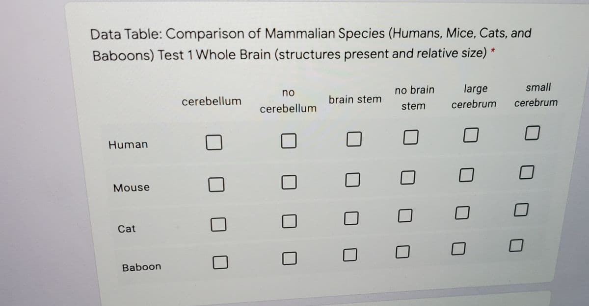 Data Table: Comparison of Mammalian Species (Humans, Mice, Cats, and
Baboons) Test 1 Whole Brain (structures present and relative size) *
no
no brain
large
small
cerebellum
brain stem
cerebellum
stem
cerebrum
cerebrum
Human
Mouse
Cat
Baboon
