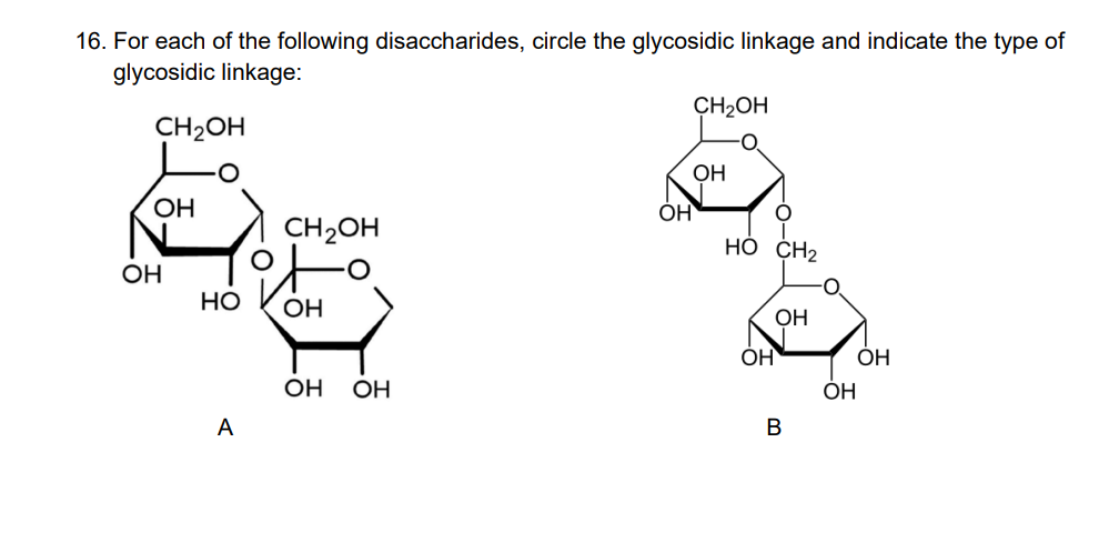 16. For each of the following disaccharides, circle the glycosidic linkage and indicate the type of
glycosidic linkage:
CH2OH
CH2OH
OH
OH
ОН
CH2OH
HÓ CH2
OH
Но
OH
OH
OH
OH
OH
ОН
А
В
