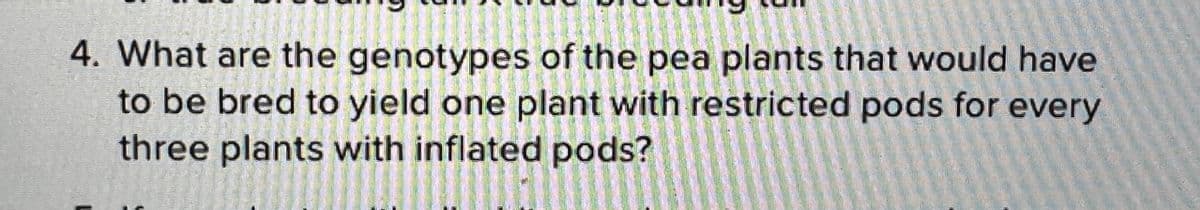 4. What are the genotypes of the pea plants that would have
to be bred to yield one plant with restricted pods for every
three plants with inflated pods?