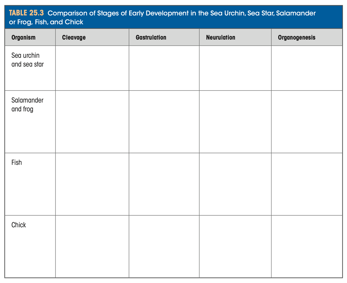 TABLE 25.3 Comparison of Stages of Early Development in the Sea Urchin, Sea Star, Salamander
or Frog, Fish, and Chick
Organism
Cleavage
Sea urchin
and sea star
Salamander
and frog
Fish
Chick
Gastrulation
Neurulation
Organogenesis