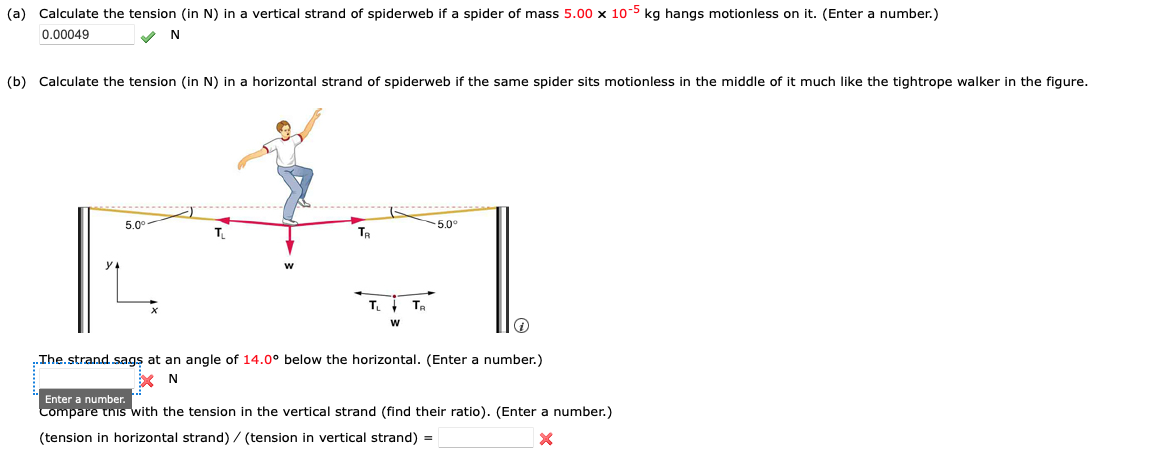 (a) Calculate the tension (in N) in a vertical strand of spiderweb if a spider of mass 5.00 x 10-5 kg hangs motionless on it. (Enter a number.)
0.00049
✔ N
(b) Calculate the tension (in N) in a horizontal strand of spiderweb if the same spider sits motionless in the middle of it much like the tightrope walker in the figure.
5.0°
TR
T₁
W
TR
-5.0⁰
..The.strand sags at an angle of 14.0° below the horizontal. (Enter a number.)
XN
Enter a number.
Compare this with the tension in the vertical strand (find their ratio). (Enter a number.)
(tension in horizontal strand) / (tension in vertical strand) =
X