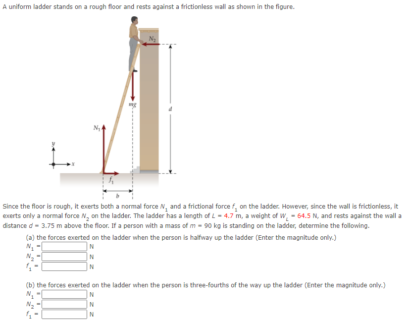 A uniform ladder stands on a rough floor and rests against a frictionless wall as shown in the figure.
N2
mg
Since the floor is rough, it exerts both a normal force N, and a frictional force f, on the ladder. However, since the wall is frictionless, it
exerts only a normal force N, on the ladder. The ladder has a length of L = 4.7 m, a weight of W, = 64.5 N, and rests against the wall a
distance d = 3.75 m above the floor. If a person with a mass of m = 90 kg is standing on the ladder, determine the following.
(a) the forces exerted on the ladder when the person is halfway up the ladder (Enter the magnitude only.)
N1
N2
f, =
N
(b) the forces exerted on the ladder when the person is three-fourths of the way up the ladder (Enter the magnitude only.)
N2
N.
