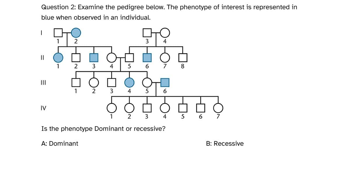 Question 2: Examine the pedigree below. The phenotype of interest is represented in
blue when observed in an individual.
||
|||
IV
2
1 2
1
3 4
A: Dominant
3
5
4
PTO
3
4
6
5
7 8
6
1
2 3 4
Is the phenotype Dominant or recessive?
5
6 7
B: Recessive