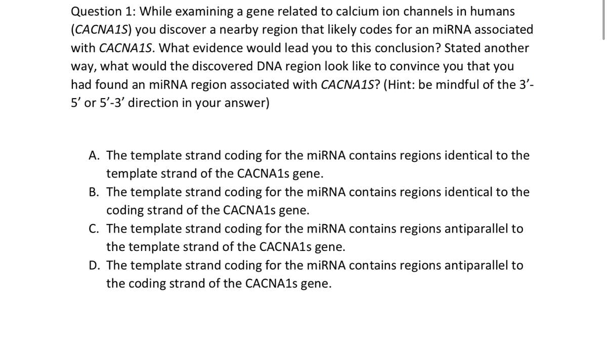 Question 1: While examining a gene related to calcium ion channels in humans
(CACNA1S) you discover a nearby region that likely codes for an miRNA associated
with CACNA1S. What evidence would lead you to this conclusion? Stated another
way, what would the discovered DNA region look like to convince you that you
had found an miRNA region associated with CACNA1S? (Hint: be mindful of the 3'-
5' or 5'-3' direction in your answer)
A. The template strand coding for the miRNA contains regions identical to the
template strand of the CACNA1s gene.
B. The template strand coding for the miRNA contains regions identical to the
coding strand of the CACNA1s gene.
C. The template strand coding for the miRNA contains regions antiparallel to
the template strand of the CACNA1s gene.
D. The template strand coding for the miRNA contains regions antiparallel to
the coding strand of the CACNA1s gene.