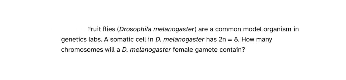 Fruit flies (Drosophila melanogaster) are a common model organism in
genetics labs. A somatic cell in D. melanogaster has 2n = 8. How many
chromosomes will a D. melanogaster female gamete contain?