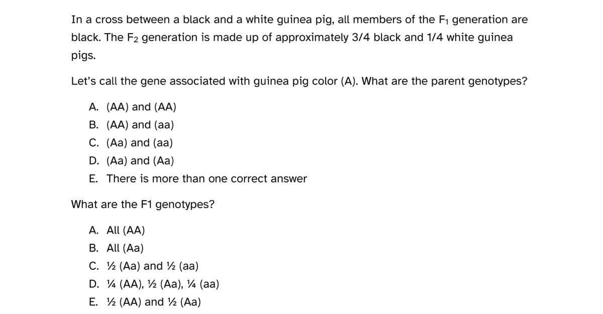 In a cross between a black and a white guinea pig, all members of the F₁ generation are
black. The F2 generation is made up of approximately 3/4 black and 1/4 white guinea
pigs.
Let's call the gene associated with guinea pig color (A). What are the parent genotypes?
A. (AA) and (AA)
B. (AA) and (aa)
C. (Aa) and (aa)
D. (Aa) and (Aa)
E. There is more than one correct answer
What are the F1 genotypes?
A. All (AA)
B. All (Aa)
C. ½ (Aa) and ½ (aa)
D. 14 (AA), 1 (Aa), ¼ (aa)
E. 1 (AA) and ½ (Aa)