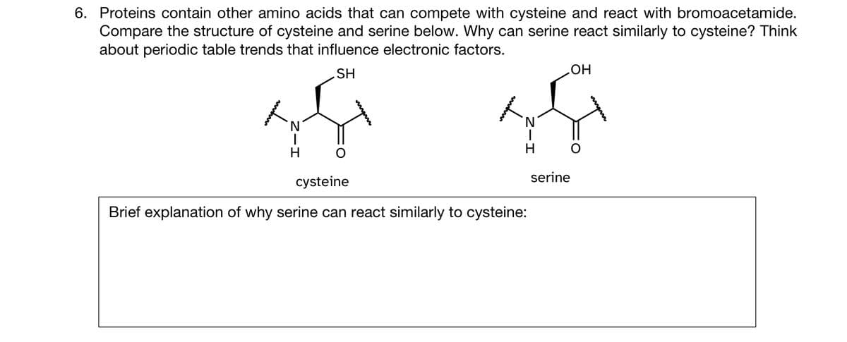 6. Proteins contain other amino acids that can compete with cysteine and react with bromoacetamide.
Compare the structure of cysteine and serine below. Why can serine react similarly to cysteine? Think
about periodic table trends that influence electronic factors.
SH
I
H
N
H
cysteine
Brief explanation of why serine can react similarly to cysteine:
serine
OH