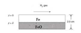 H, gas
z=0
Fe
2.0 cm
FeO
