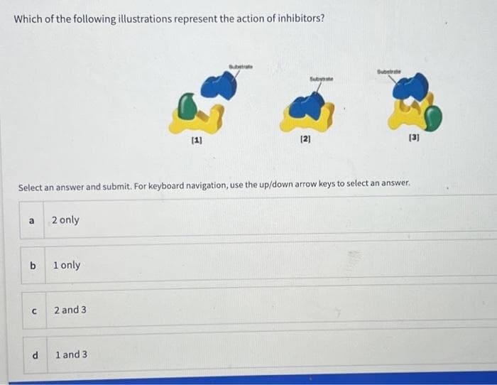 Which of the following illustrations represent the action of inhibitors?
a
b
с
d
Select an answer and submit. For keyboard navigation, use the up/down arrow keys to select an answer.
2 only
1 only
2 and 3
[1]
1 and 3
Subyrate
[2]
Substrate
[3]