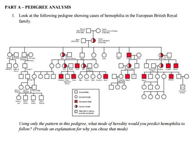 1. Look at the following pedigree showing cases of hemophilia in the European British Royal
family.
Using only the pattern in this pedigree, what mode of heredity would you predict hemophilia to
follow? (Provide an explanation for why you chose that mode)
