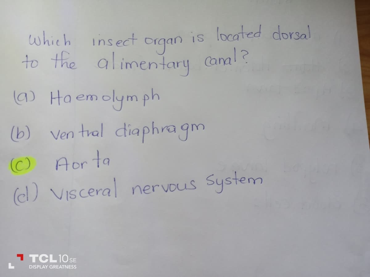 Which insect organ is located dorsal
to the alimentary canal?
(@) Haemolymph
(b) ven tral diaphragm
(0) Aorta
(el) Visceral nervous System
1 TCL 10 SE
DISPLAY GREATNESS